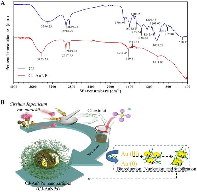 Int J Biol Sci Image