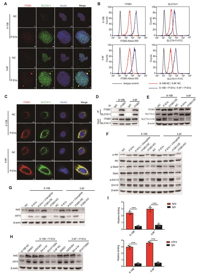 Int J Biol Sci Image