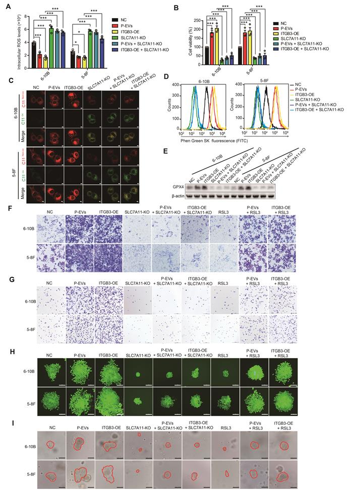 Int J Biol Sci Image