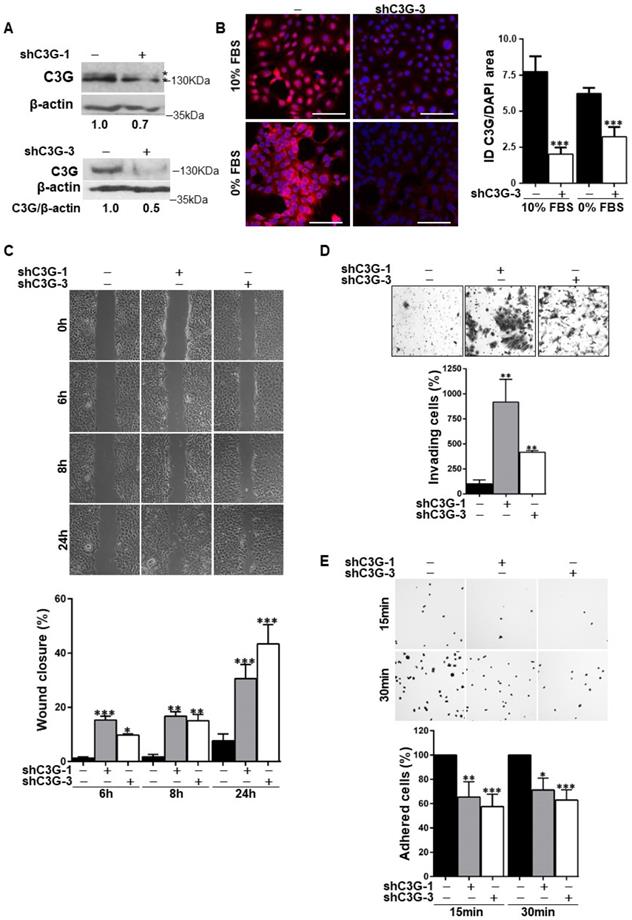 Int J Biol Sci Image