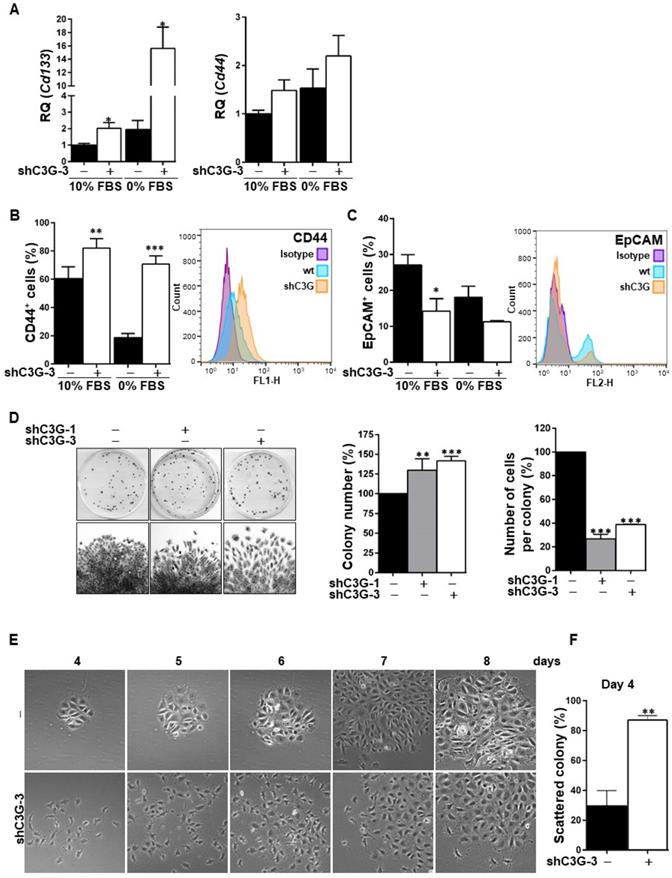 Int J Biol Sci Image