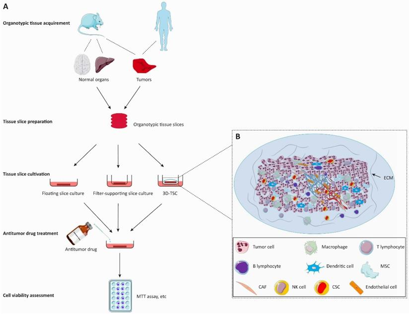 Int J Biol Sci Image