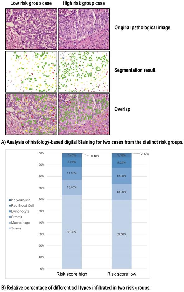 Int J Biol Sci Image