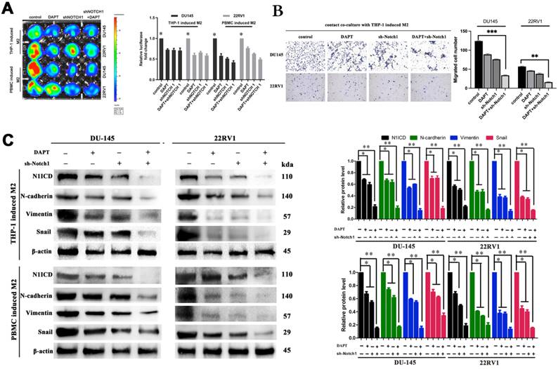 Int J Biol Sci Image