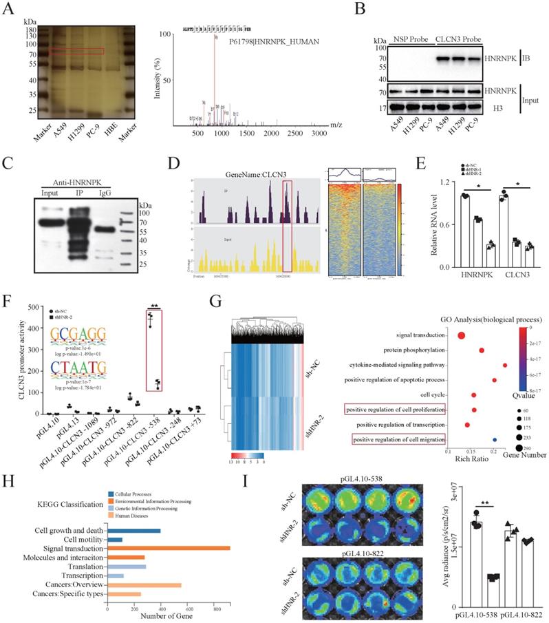 Int J Biol Sci Image