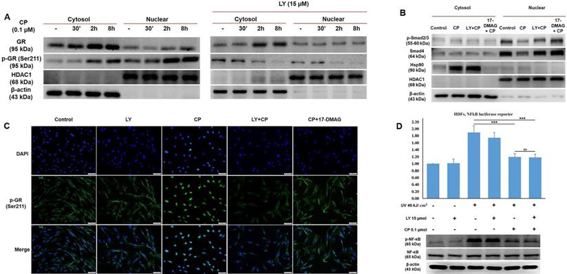 Int J Biol Sci Image