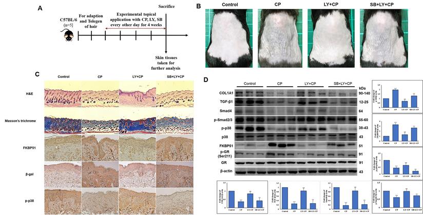 Int J Biol Sci Image