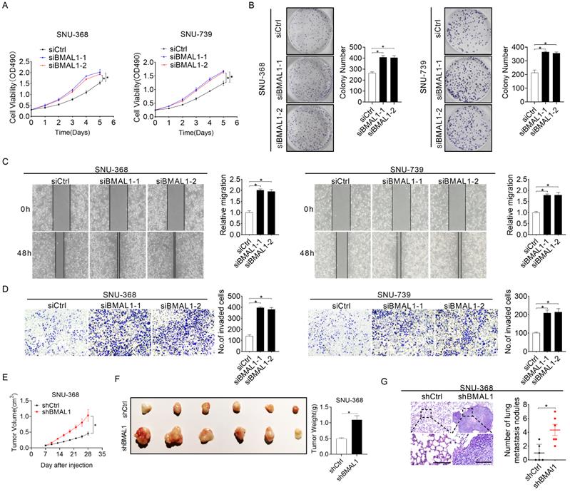 Int J Biol Sci Image