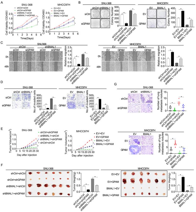 Int J Biol Sci Image