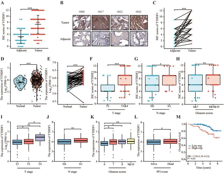 Int J Biol Sci Image