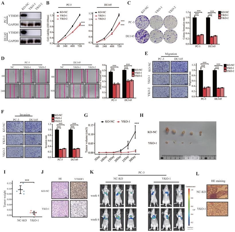 Int J Biol Sci Image