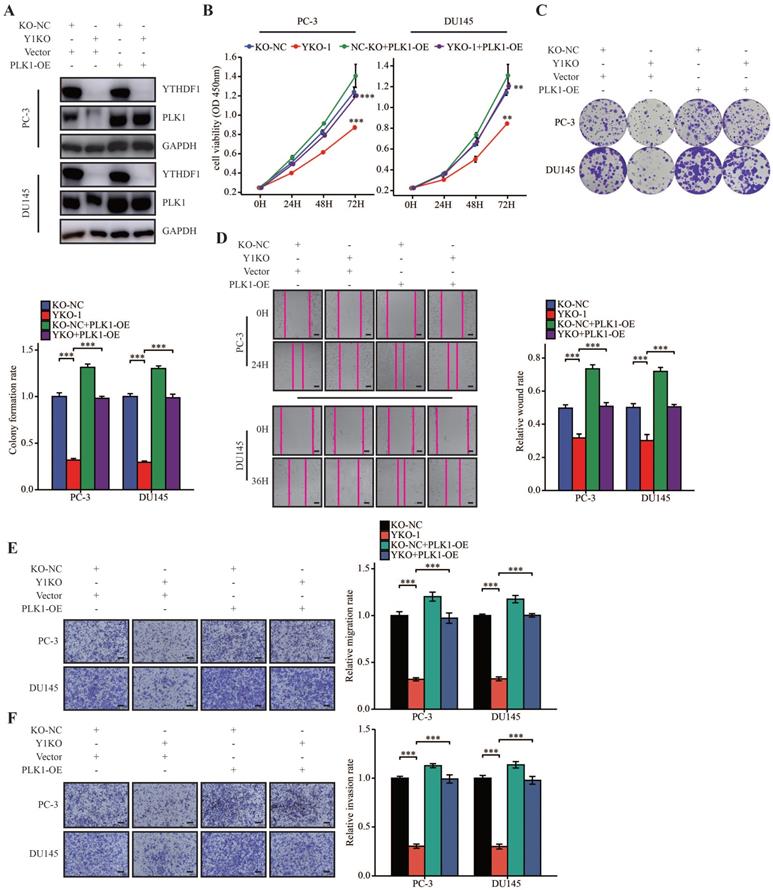 Int J Biol Sci Image