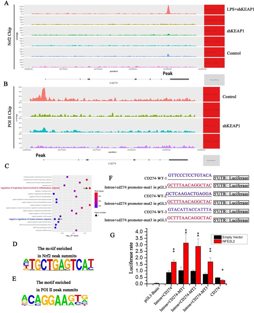 Int J Biol Sci Image