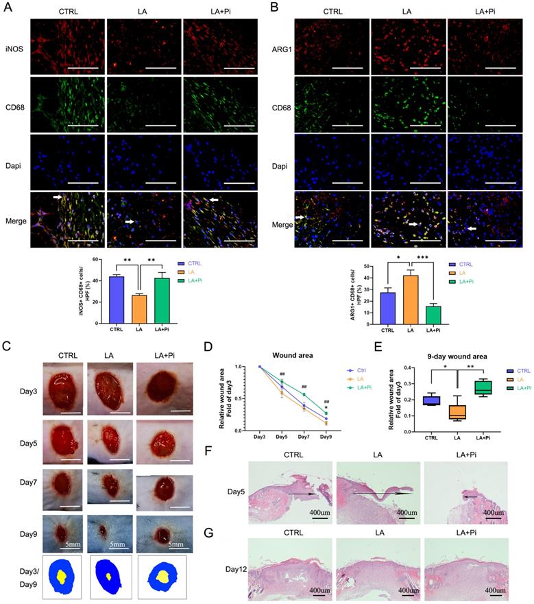 Int J Biol Sci Image