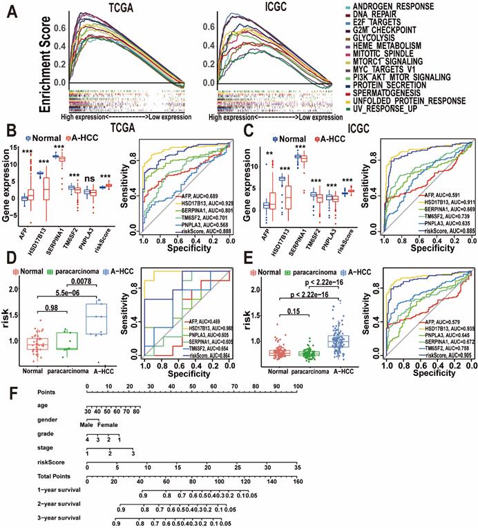 Int J Biol Sci Image