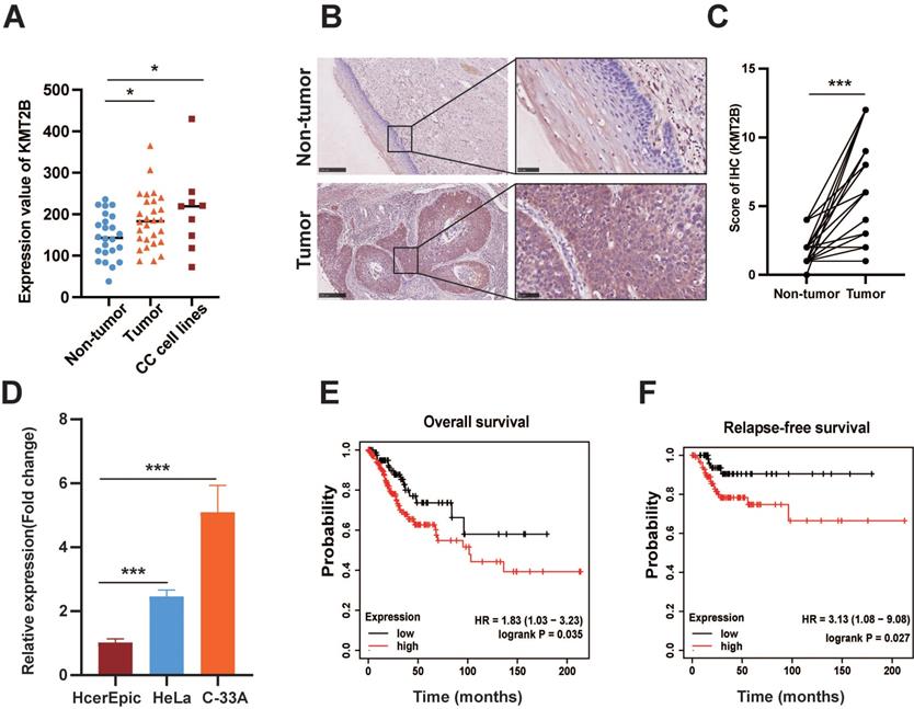 Int J Biol Sci Image