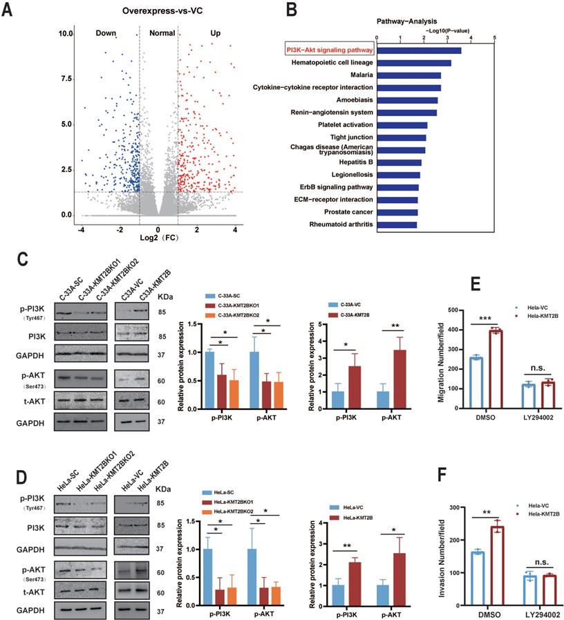 Int J Biol Sci Image