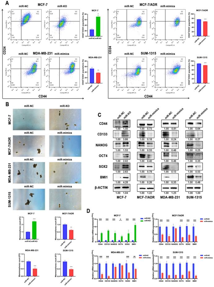 Int J Biol Sci Image