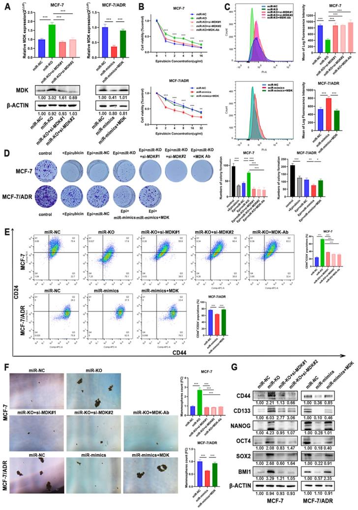 Int J Biol Sci Image