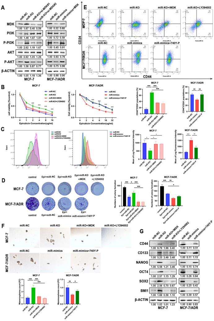 Int J Biol Sci Image