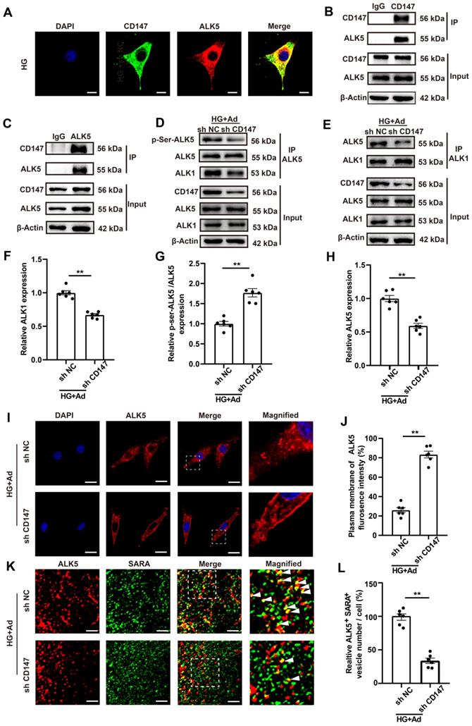 Int J Biol Sci Image