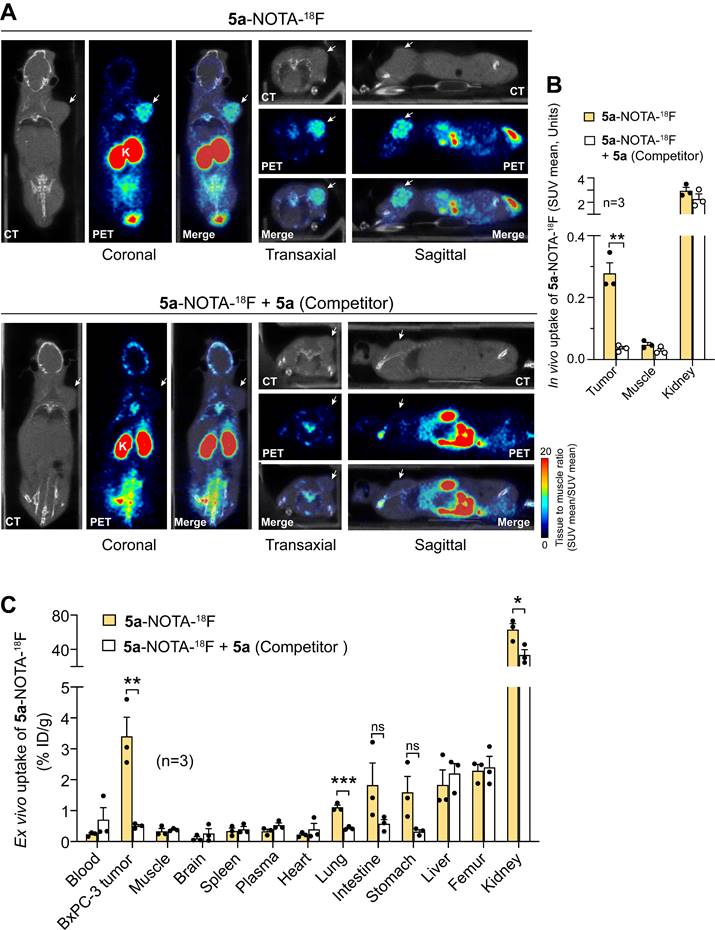 Int J Biol Sci Image