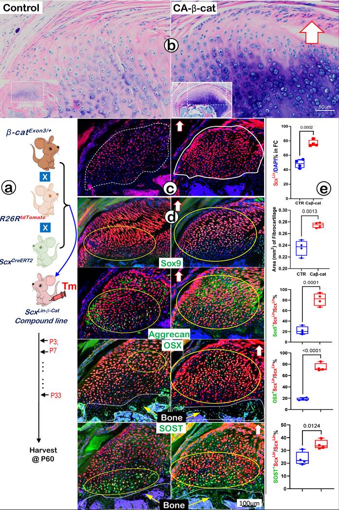 Int J Biol Sci Image