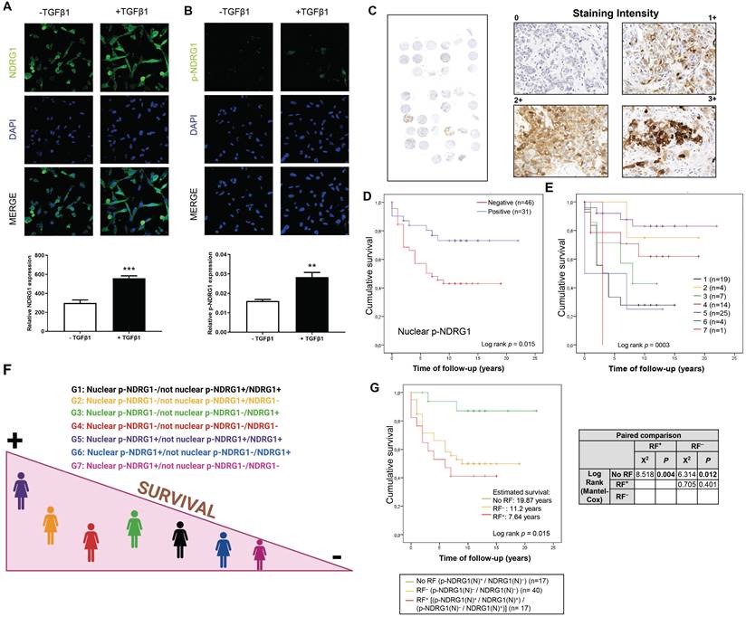 Int J Biol Sci Image