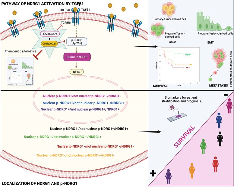 Int J Biol Sci Image