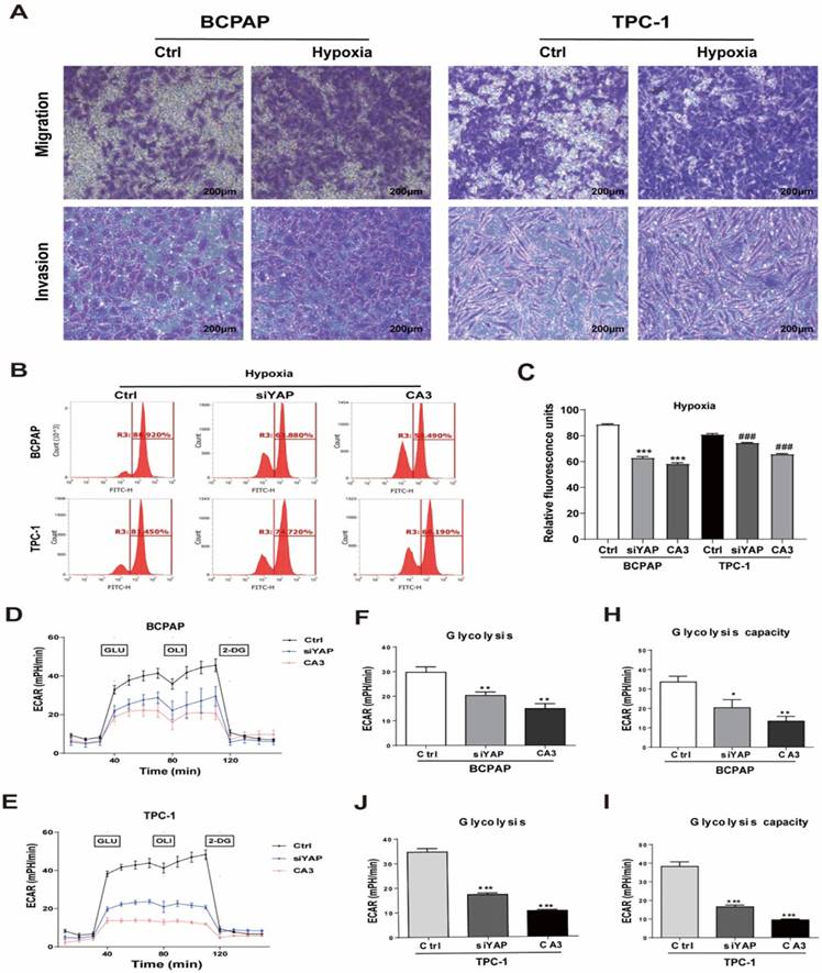 Int J Biol Sci Image