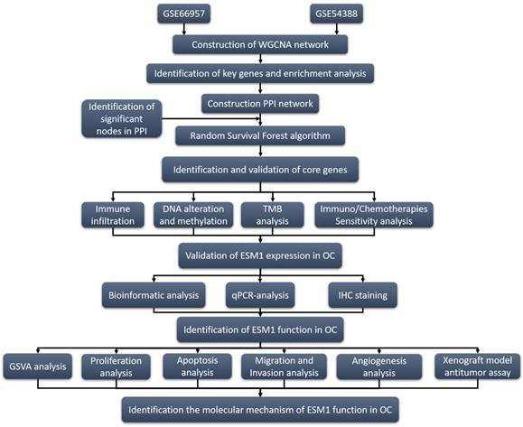 Int J Biol Sci Image