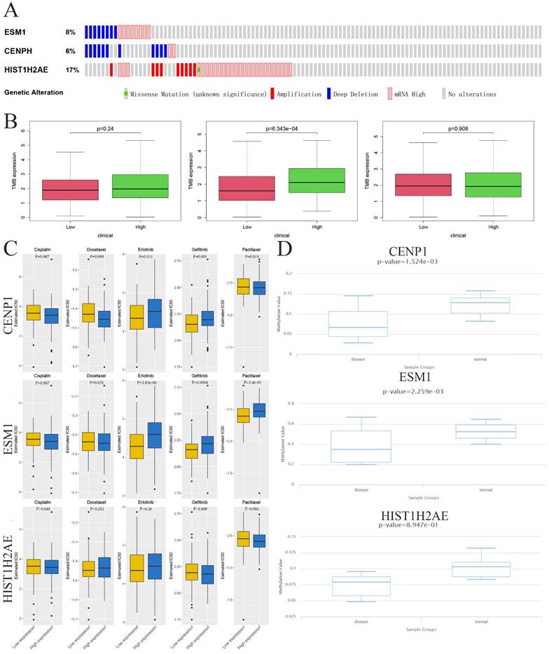 Int J Biol Sci Image