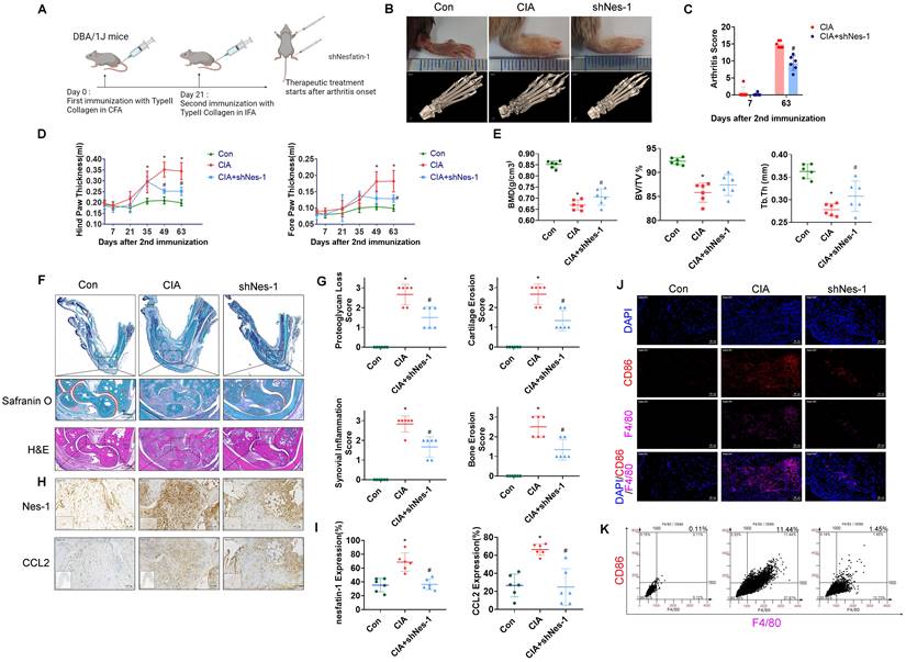 Int J Biol Sci Image