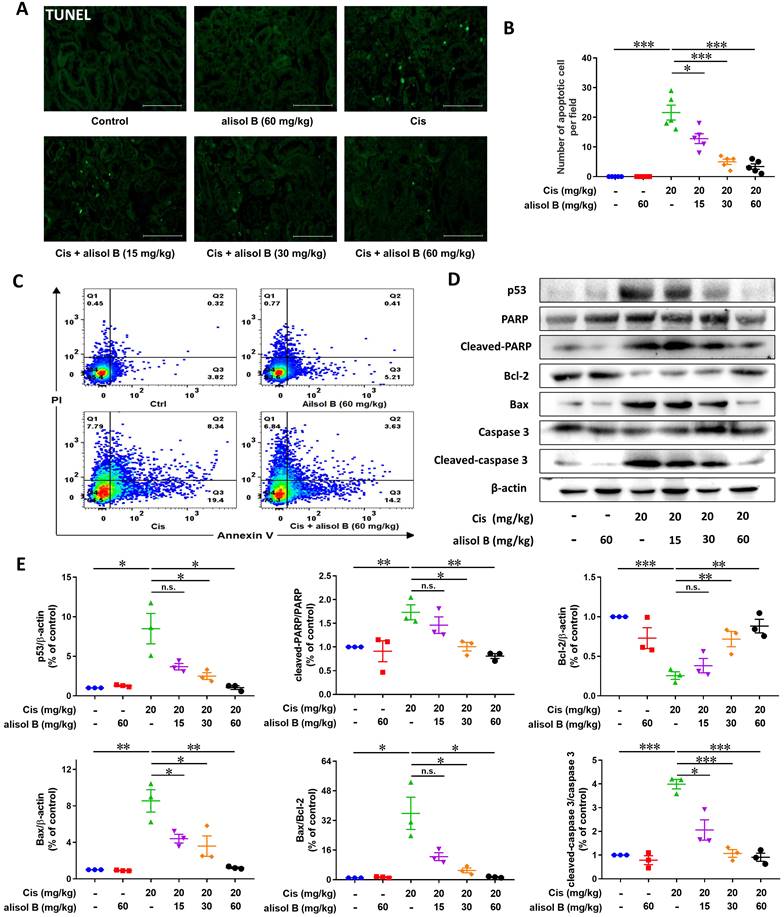 Int J Biol Sci Image