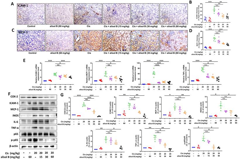 Int J Biol Sci Image