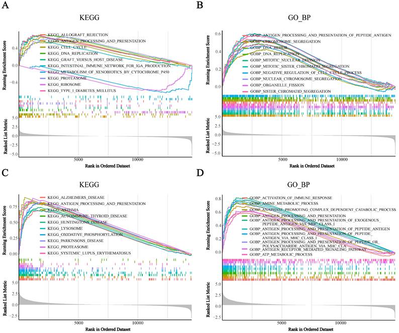 Int J Biol Sci Image