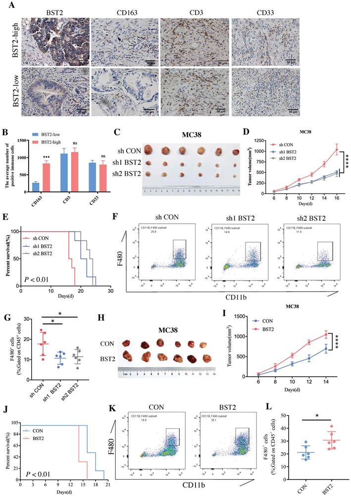 Int J Biol Sci Image