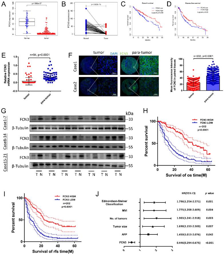 Int J Biol Sci Image