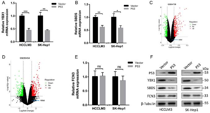 Int J Biol Sci Image