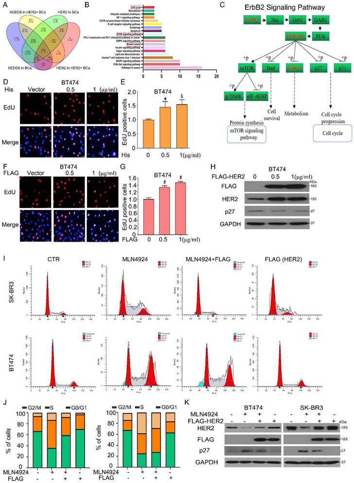 Int J Biol Sci Image