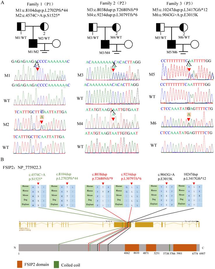 Int J Biol Sci Image