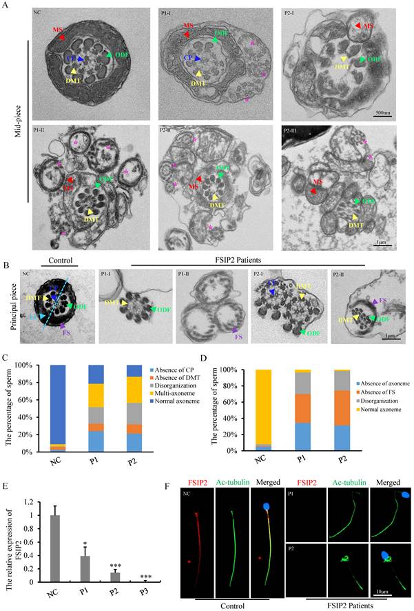 Int J Biol Sci Image