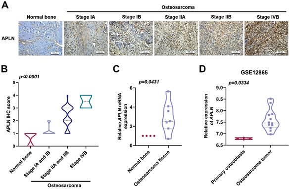 Int J Biol Sci Image