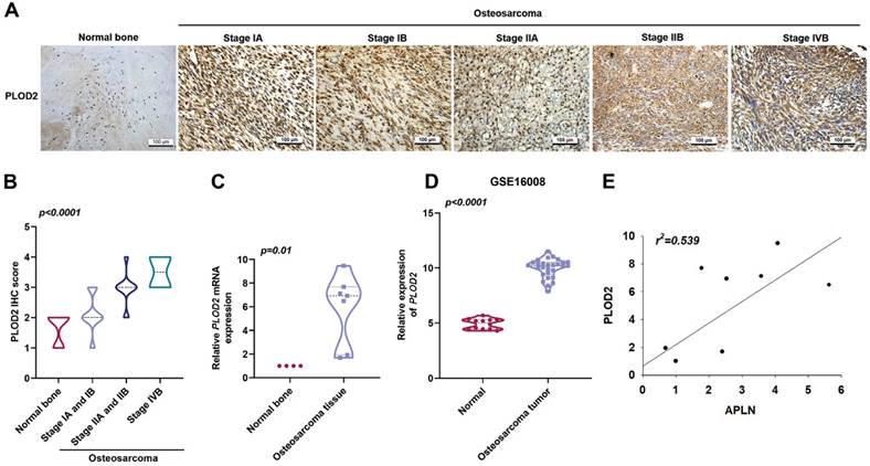 Int J Biol Sci Image