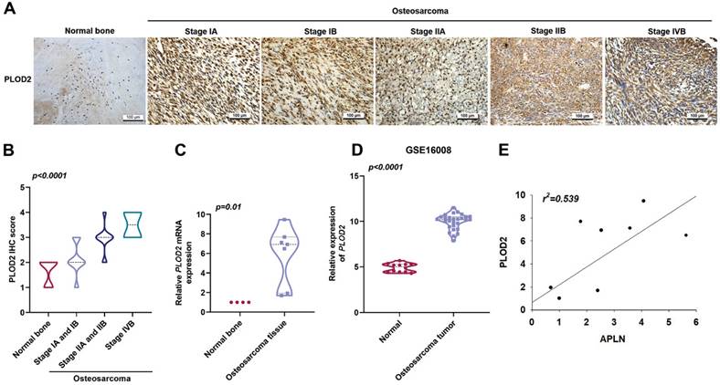 Int J Biol Sci Image