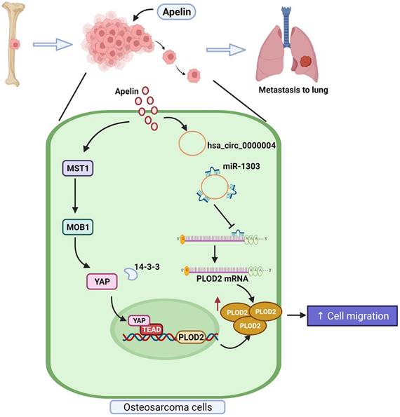 Int J Biol Sci Image