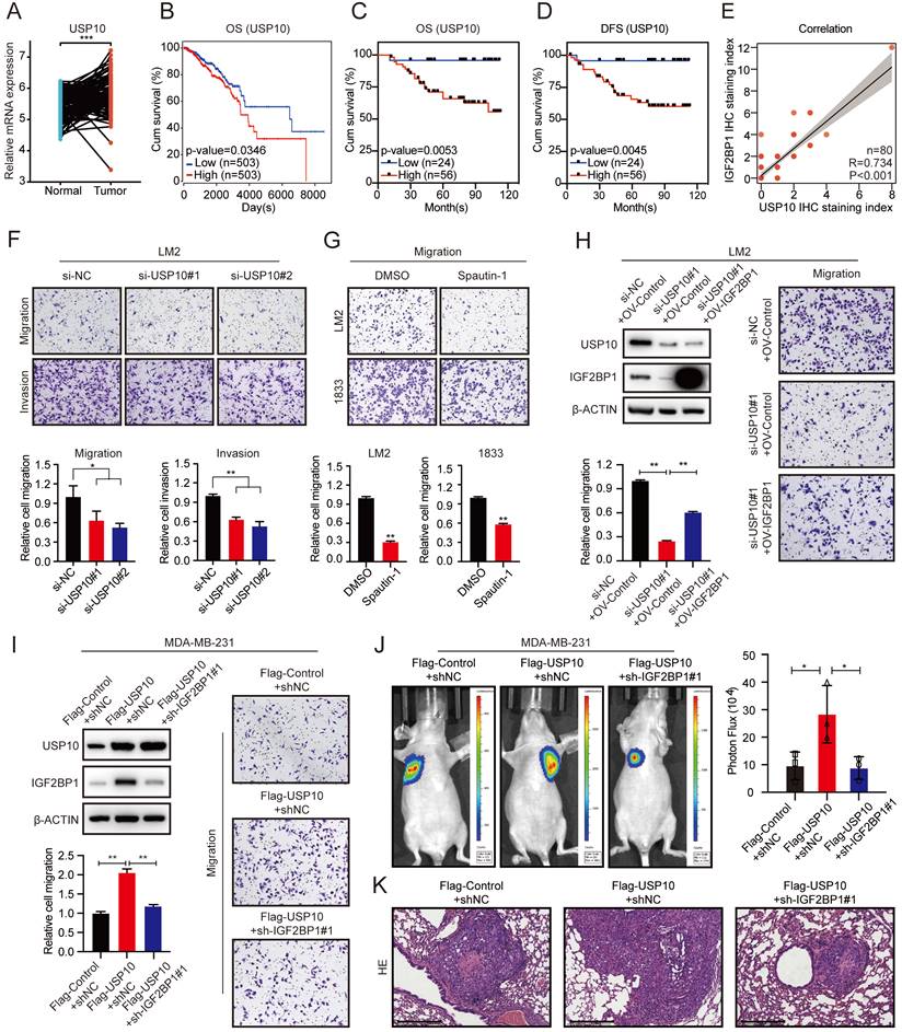 Int J Biol Sci Image