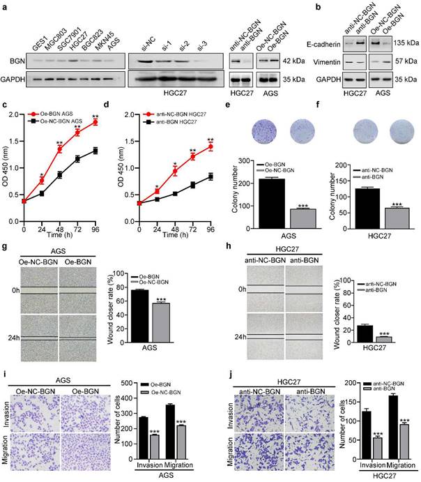 Int J Biol Sci Image