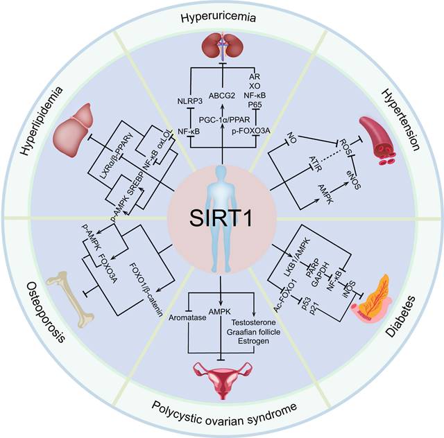 Int J Biol Sci Image