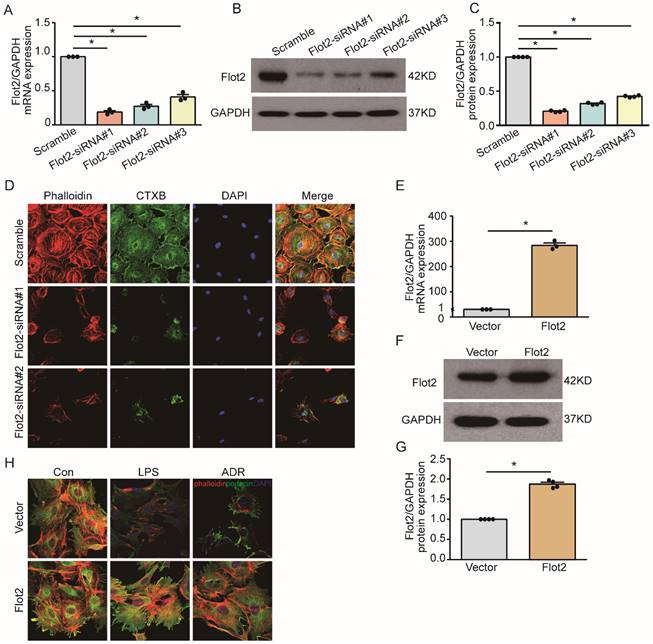 Int J Biol Sci Image